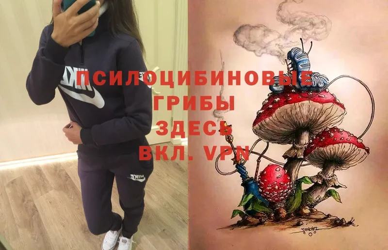 Галлюциногенные грибы Magic Shrooms  Кириши 